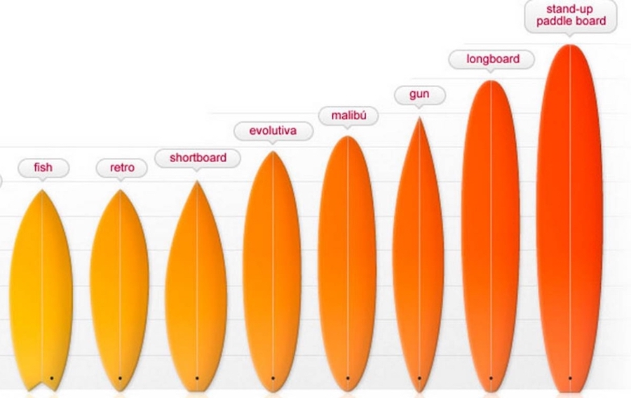 cuanto mide tabla surf principiantes